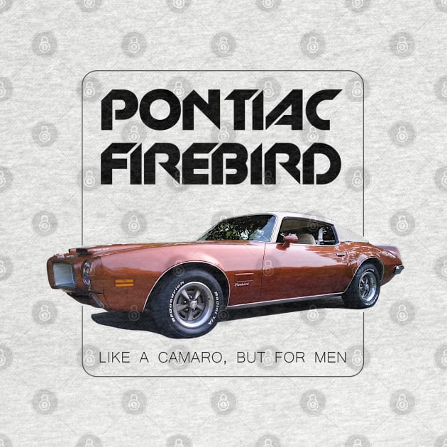 1971 Pontiac Firebird. Like a Camaro but for men. by MotorPix